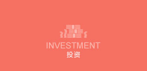 投資