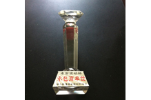 神華新疆項(xiàng)目本安杯