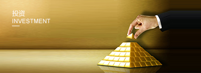 投資